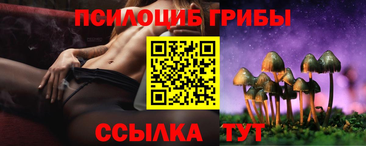 Альметьевск  купить  сайты  Вход с VPN  Псилоцибиновые грибы Psilocybe 